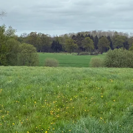 La Bellangerie * Colombiers-du-Plessis