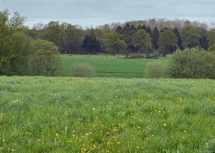 La Bellangerie * Colombiers-du-Plessis